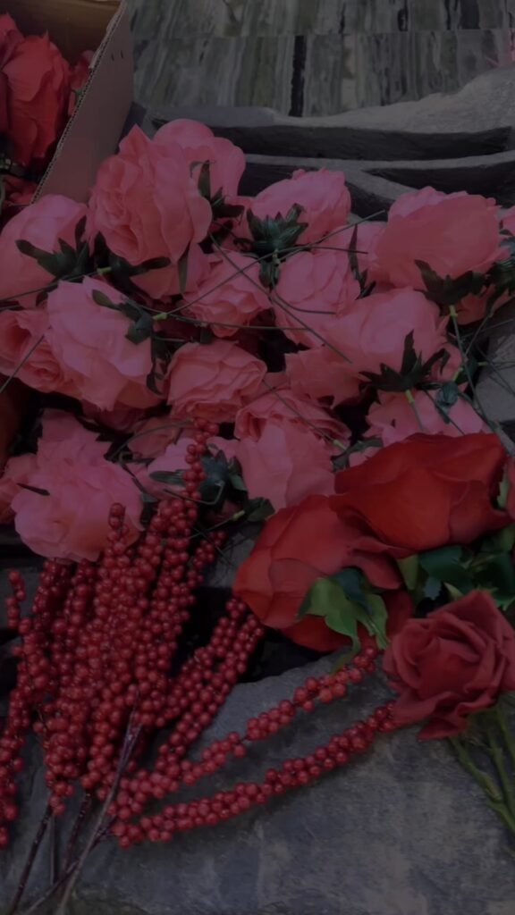 Video: 14 feb