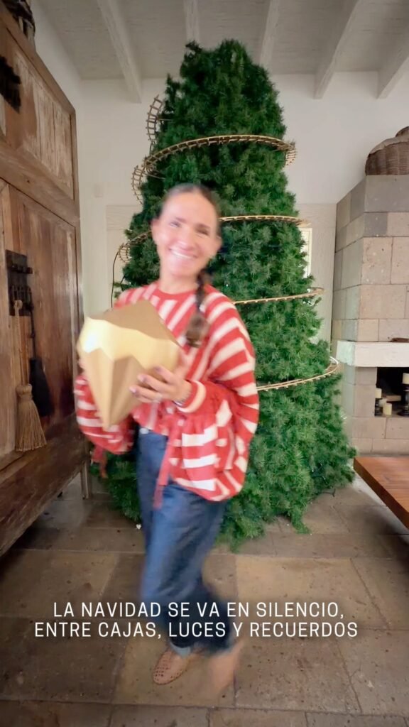 Video: Adiós navidad