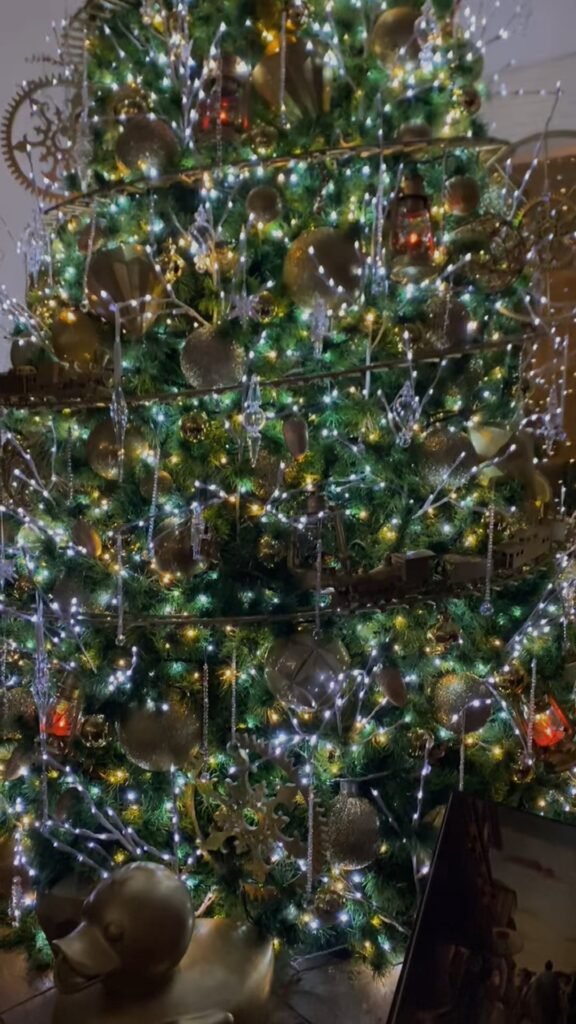 Video: Bye navidad, nos vemos