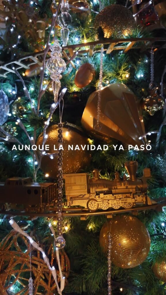 Video: Casa gab feliz día reyes