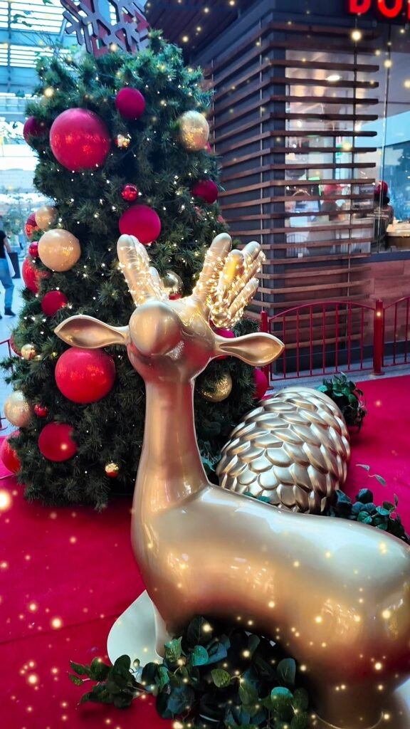 Video: La magia de los reyes magos